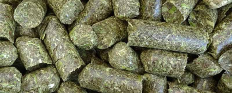 Hefe-Lein Happen 6kg