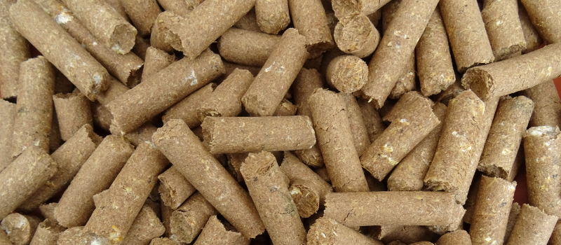 Eukalyptus Leckerbissen 5kg