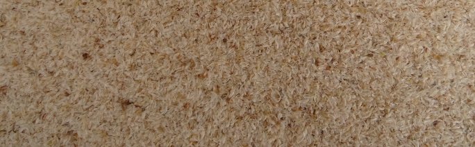 Flohsamenschalen 1kg