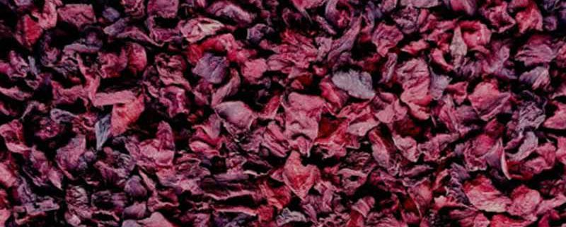 Rote Beete Würfel getrocknet 5kg